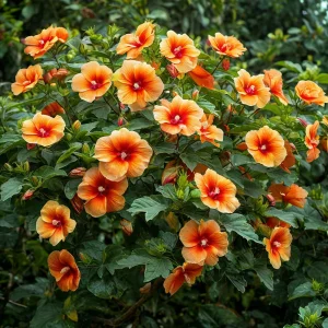 Гибискус Кристал Рэй купить по цене от 458р. в интернет-магазине «Посадика» с доставкой почтой в в Гусеве и по всей России – [изображение №1].