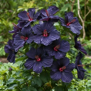 Гибискус Мэджик Момент купить по цене от 699р. в интернет-магазине «Посадика» с доставкой почтой в в Гусеве и по всей России – [изображение №1].